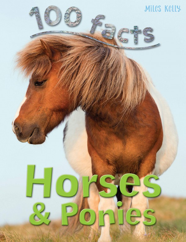 Horses & Ponies